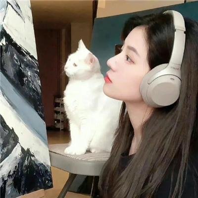 傅满洲的鼓