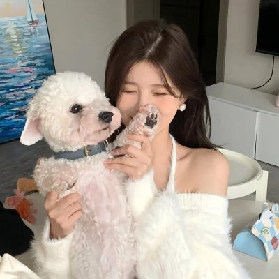 夏普的敌人